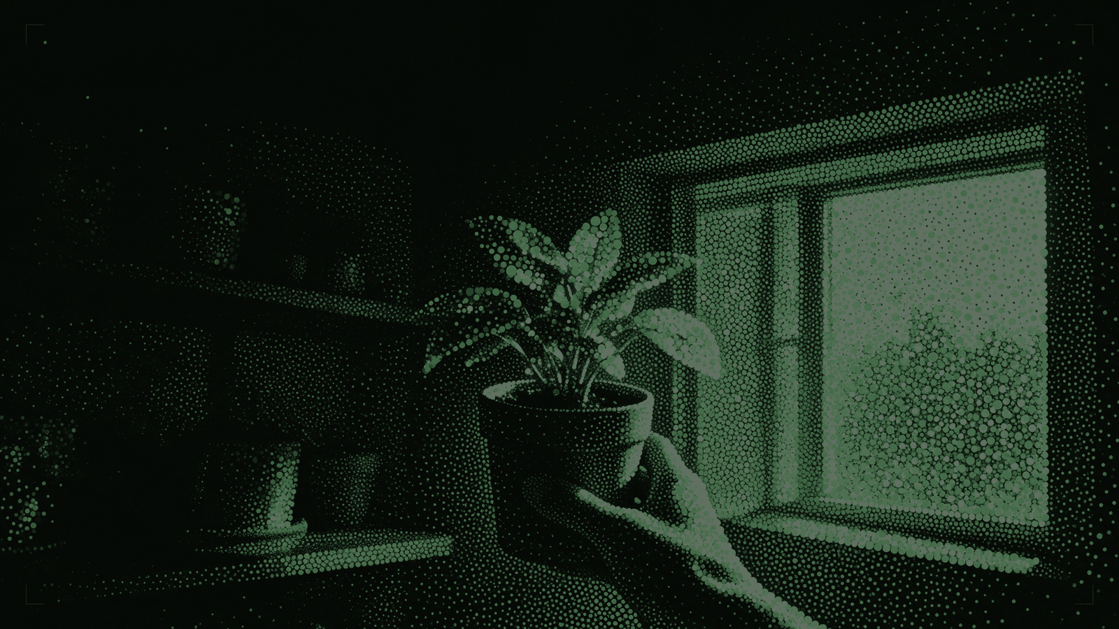 A hand moving a potted plant from a dim shelf to a bright windowsill