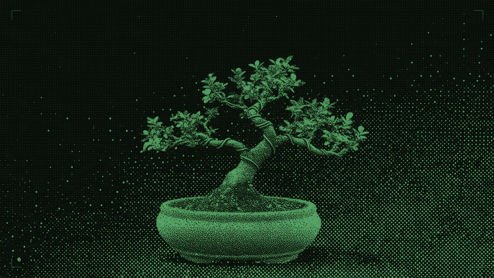 A small bonsai in a shallow clay pot, its branches wrapped in training wire that bends each one into shape, in mint halftone dots