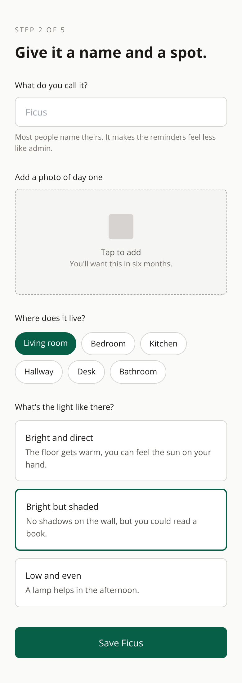 Before: Plant & Botanical Shop onboarding — name and place it