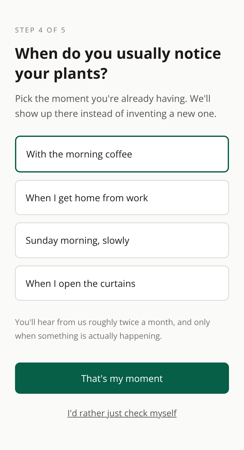 Before: Plant & Botanical Shop onboarding — attach it to a moment