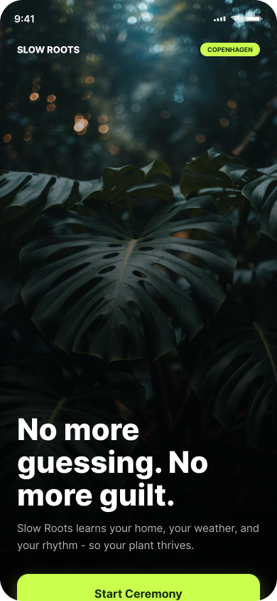 UX case study: onboarding redesign for a plant & botanical shop